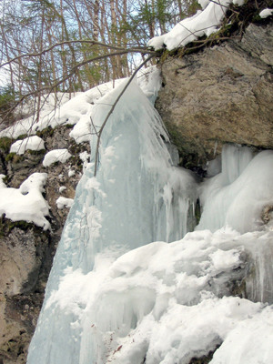 Kazu gravas zili mirgojošais