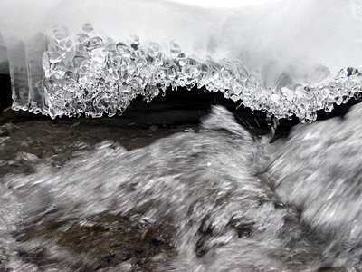 ledus mežģīnes foto