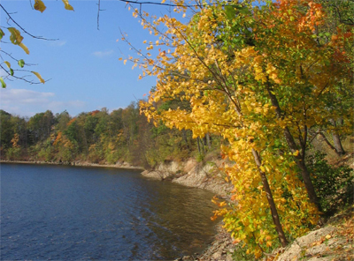 Pie Kokneses pilsdrupām foto