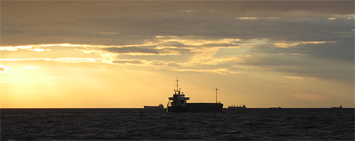 Mols saulrietā, foto