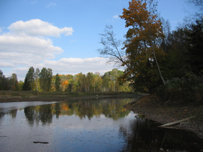 Pērse pie ietekas Daugavā, foto