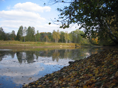 Pērse pie ietekas Daugavā, foto