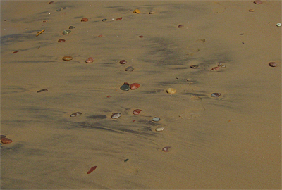 Užavas piekraste, foto