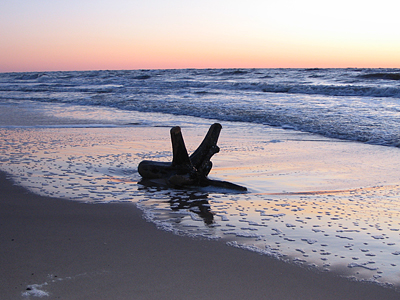 Pāvilostas ragainis