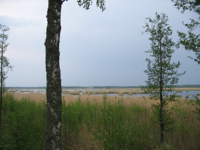 2007.05.29. 9-33-05_0051 Latvijas ezeri. Kaņieris