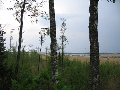 2007.05.29. 9-33-10_0052 Latvijas ezeri. Kaņieris