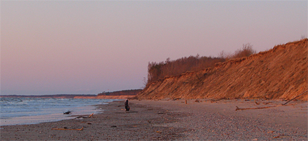 Latvijas piekraste. Pāvilostas stāvkrasts