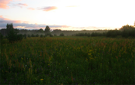 Latvija. Sēlija. Saulrieta foto
