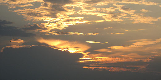 saulriets Rīgā, Ķīpsala