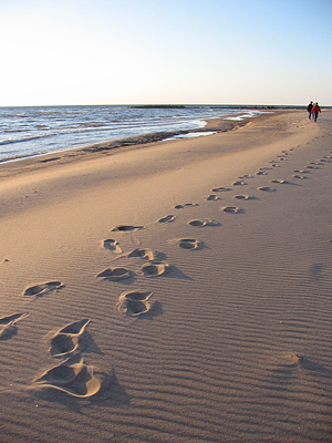 Tuuja_2005IV 009 Pēdas smiltīs