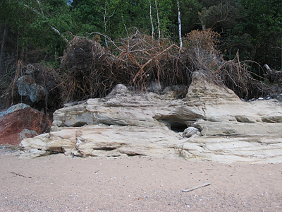 veczemji_2 031 Atsegums pie Veczemjiem