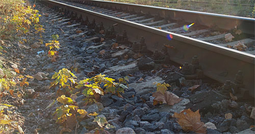 Daba cenšas atkarot teritorijas. Rīga, Latvijas dzelzceļš